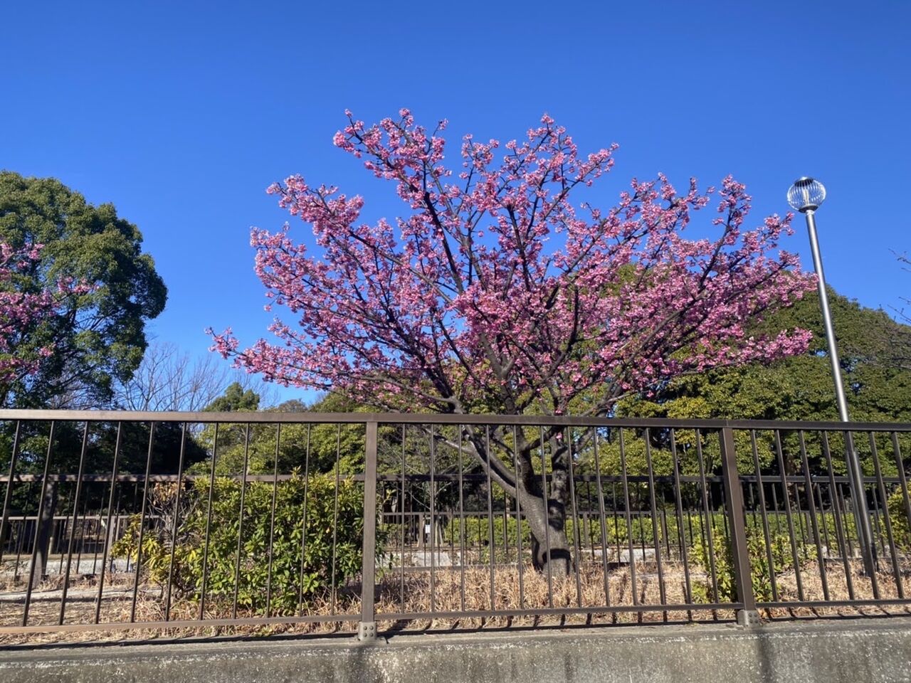 小さな幸せ💖（すこやか自立学園木場校）