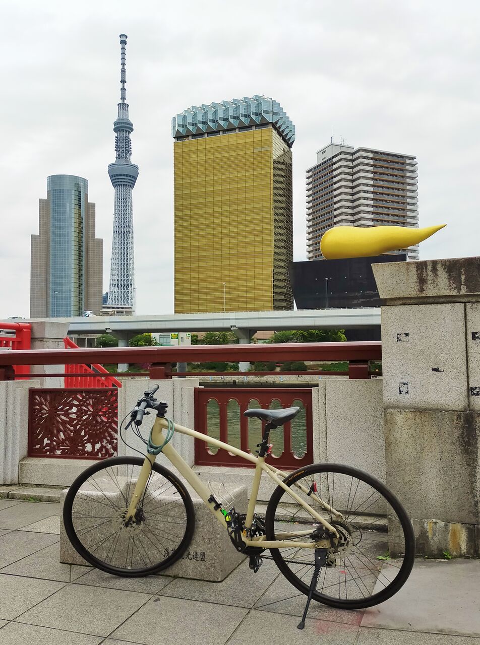 自転車散策（すこやかホーム北砂）