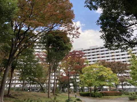 爽やかな秋の散歩　すこやかホーム小名木川　