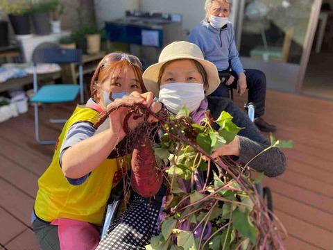 えんむすび畑のお芋掘り（すこやか家族　えんむすび）