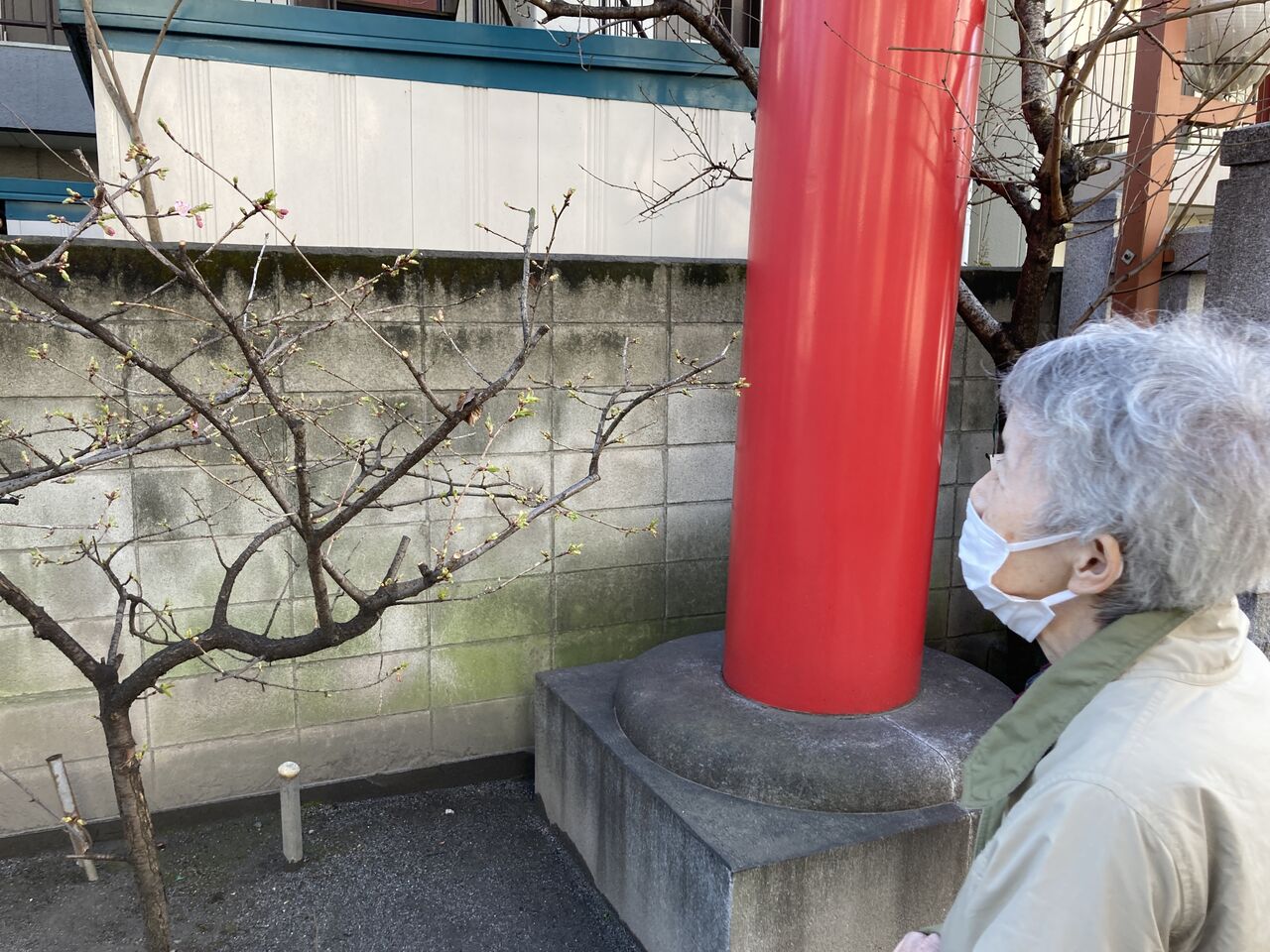 ♪防災＆お散歩♪　（すこやか自立学園木場校）