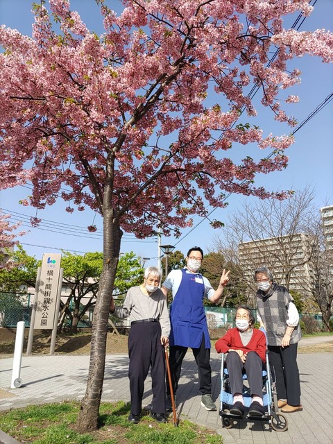 サクラサク（すこやかホーム東陽町）