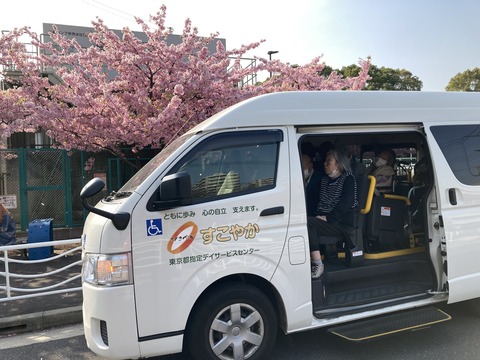 河津桜が満開でした。ドライブ週間！！(家族えんむすび)