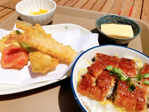 夏突入～🌞丑の日まで待てない鰻！鰻！鰻！😋(小名木川)