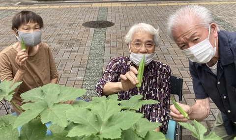 小名木川畑より愛をこめて☆「秋葵」←これは何❓