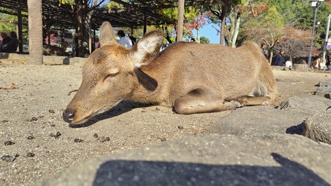 広島に行ってきました。(えがおの湯)