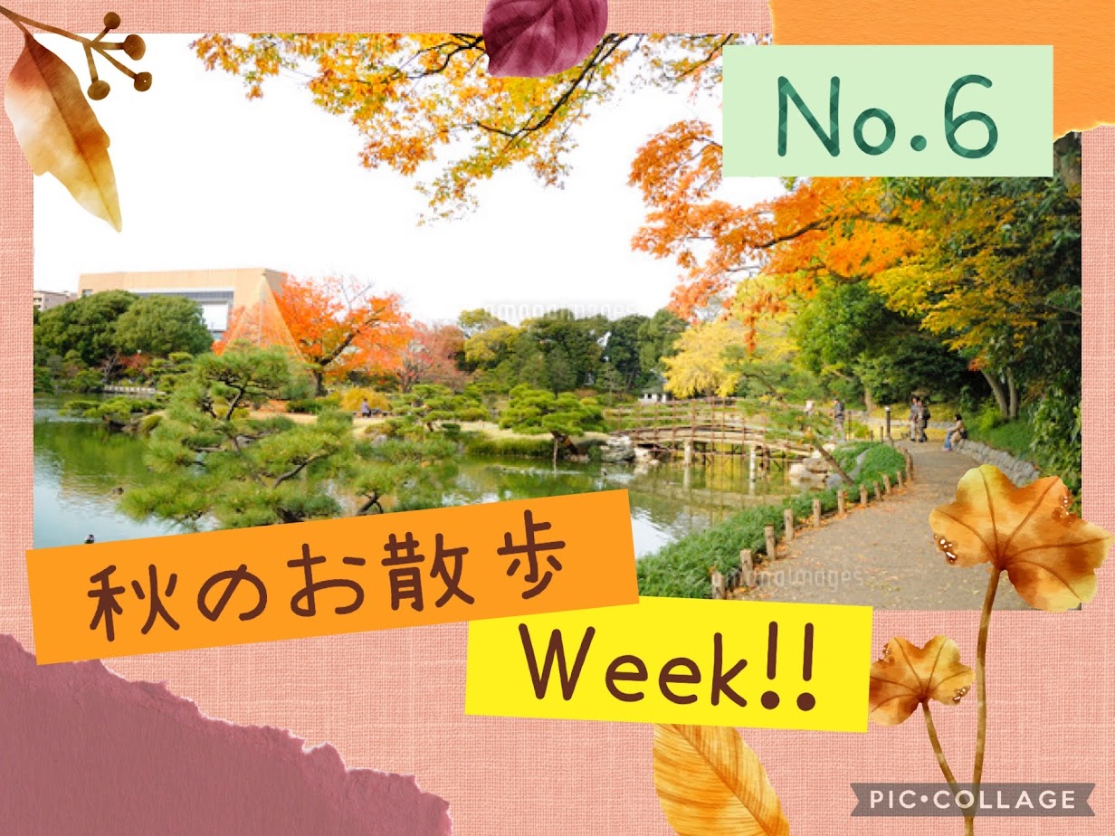 お散歩week6日目 (小名木川)