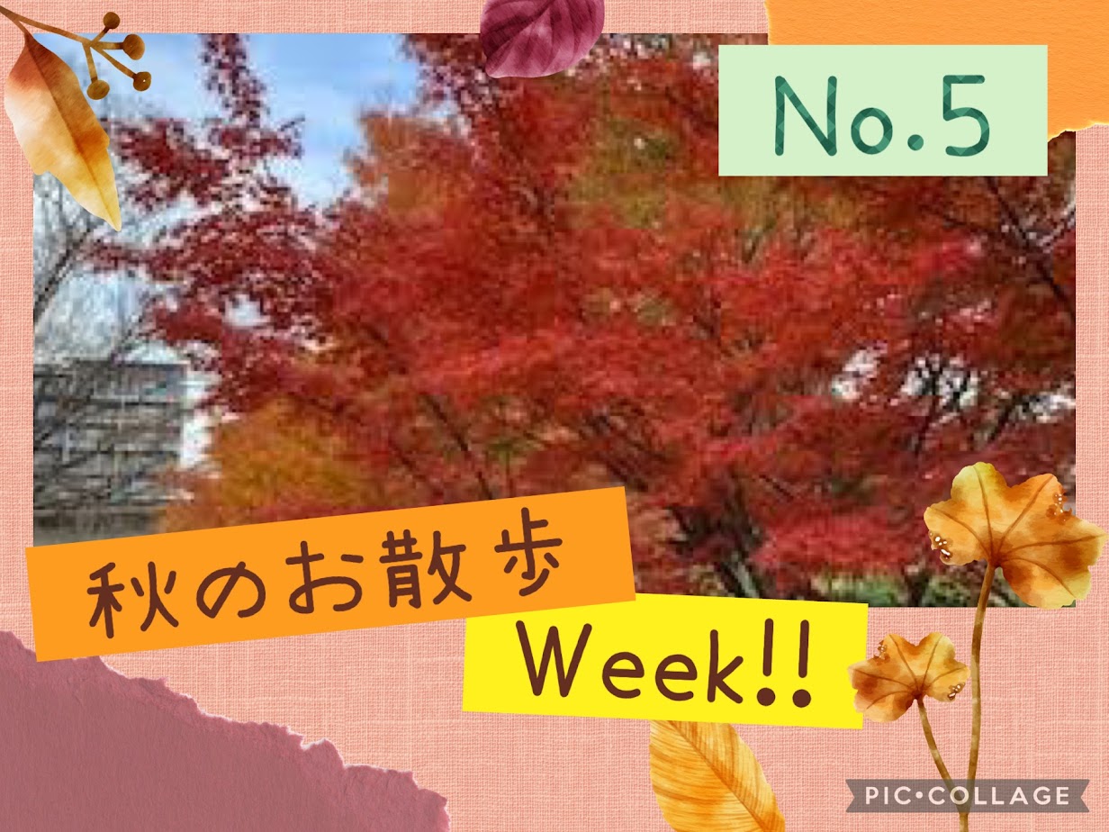 お散歩week5日目♪