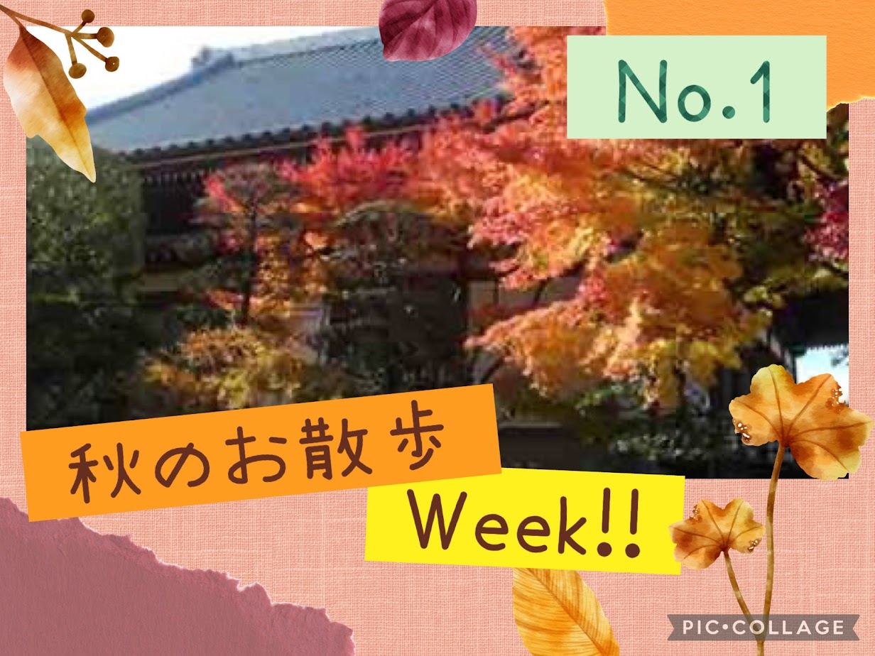 お散歩week1日目♪（瑞江）