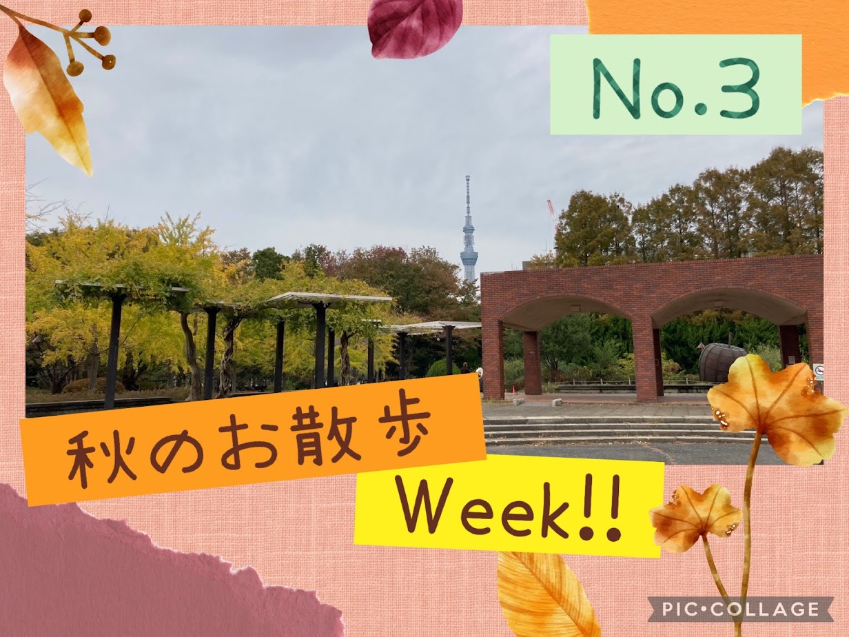 お散歩week3日目　(北砂)