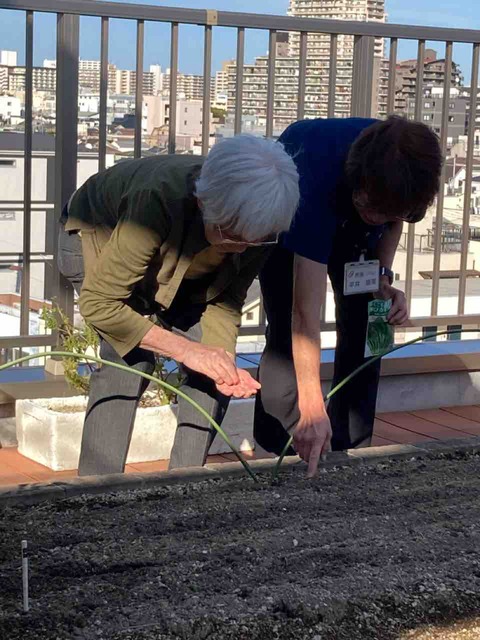 屋上の畑近況　えんむすび