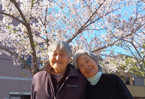 瑞江の桜🌸第二弾♪(瑞江)