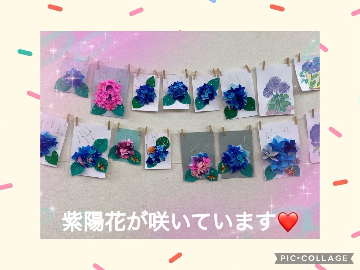 紫陽花づくし　(大島）