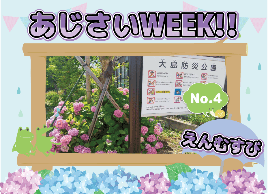 あじさいWEEK！　（えんむすび）