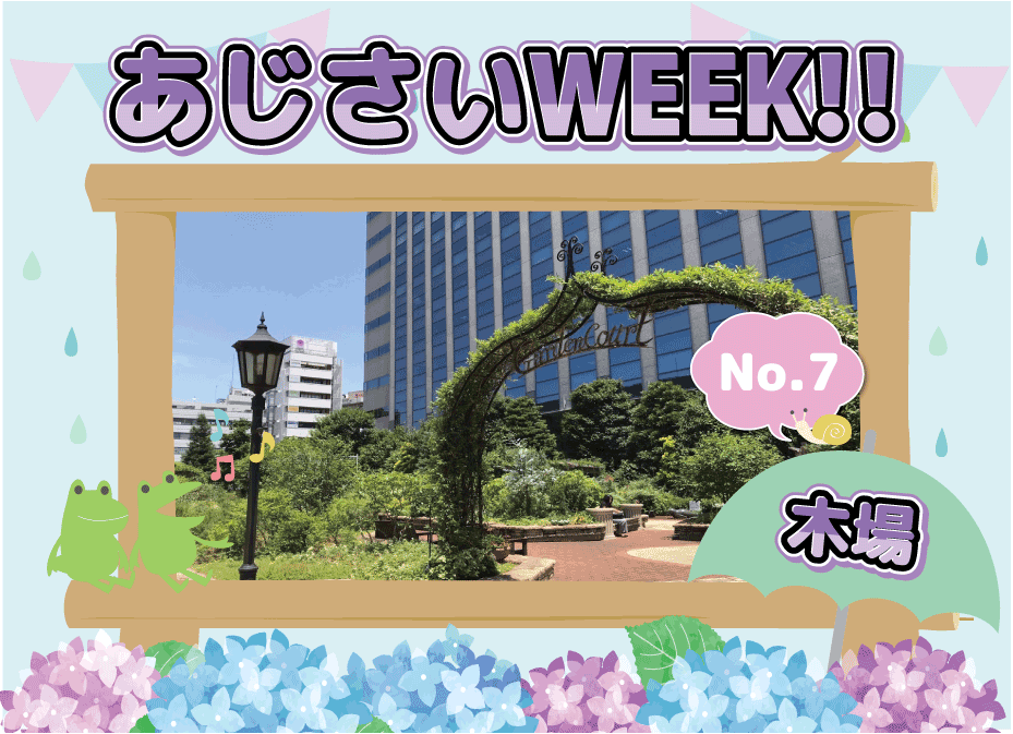 あじさいWEEK!　（木場）