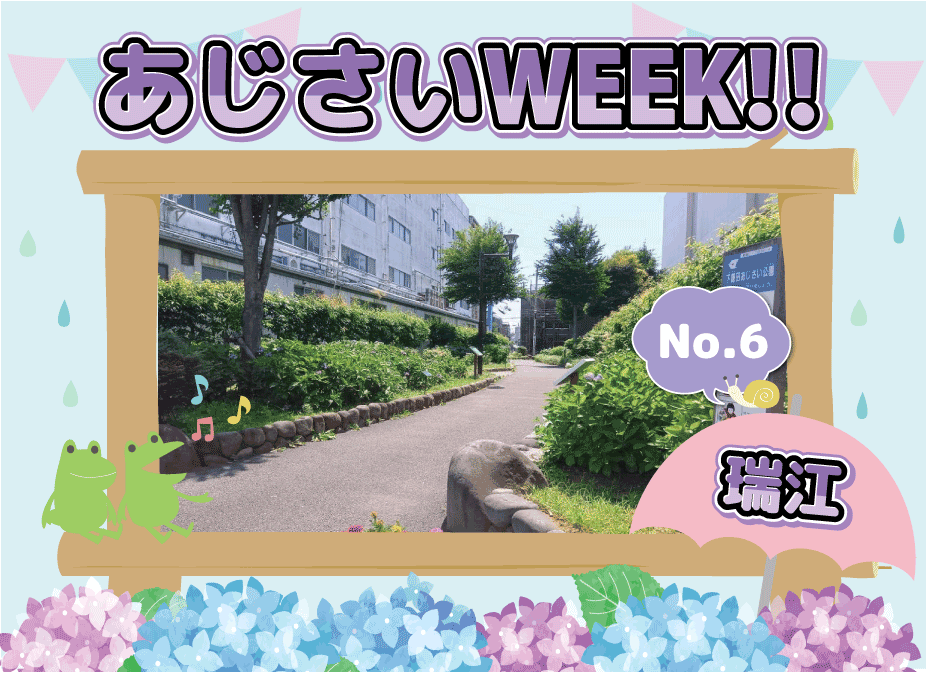 あじさいWEEK!　（瑞江）