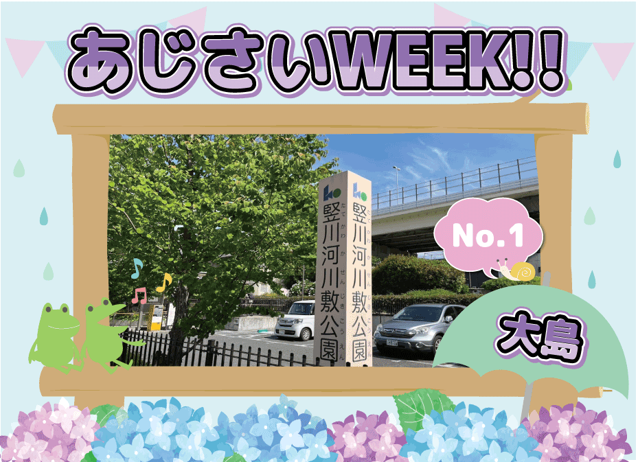 あじさいWEEＫ！　（大島）
