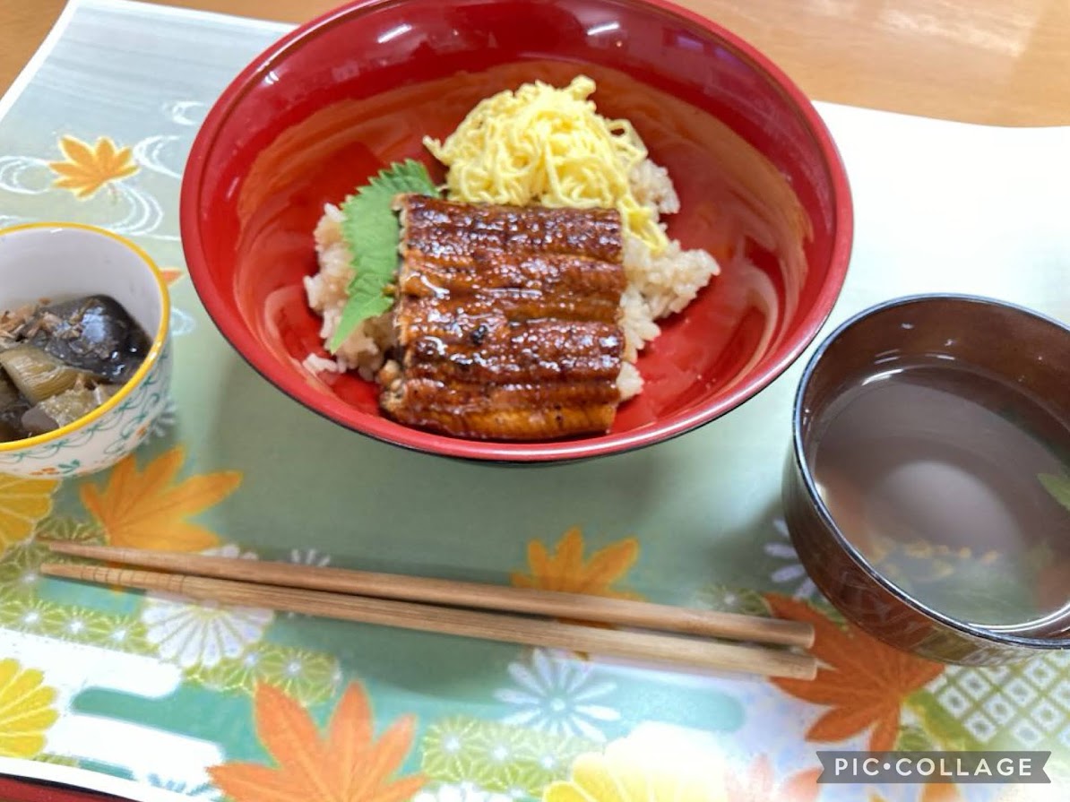 🍅屋上菜園収穫第二弾（えんむすび）