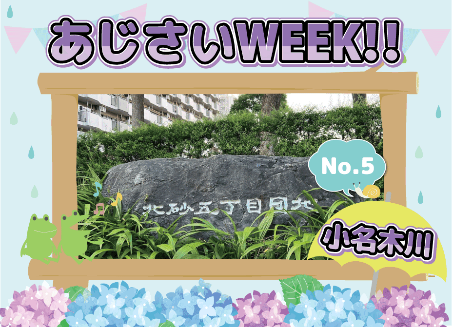 あじさいWEEK!　（小名木川）