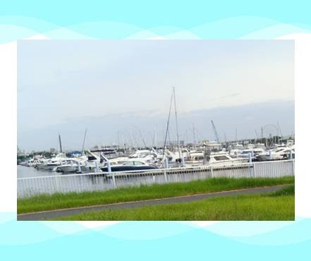 海風を浴びて(東陽町)。