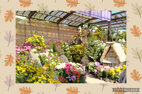 善養寺《瑞江》