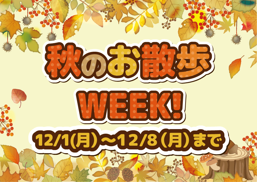お散歩week始まります♪