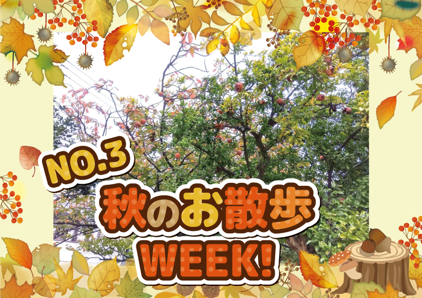 お散歩week！(瑞江)