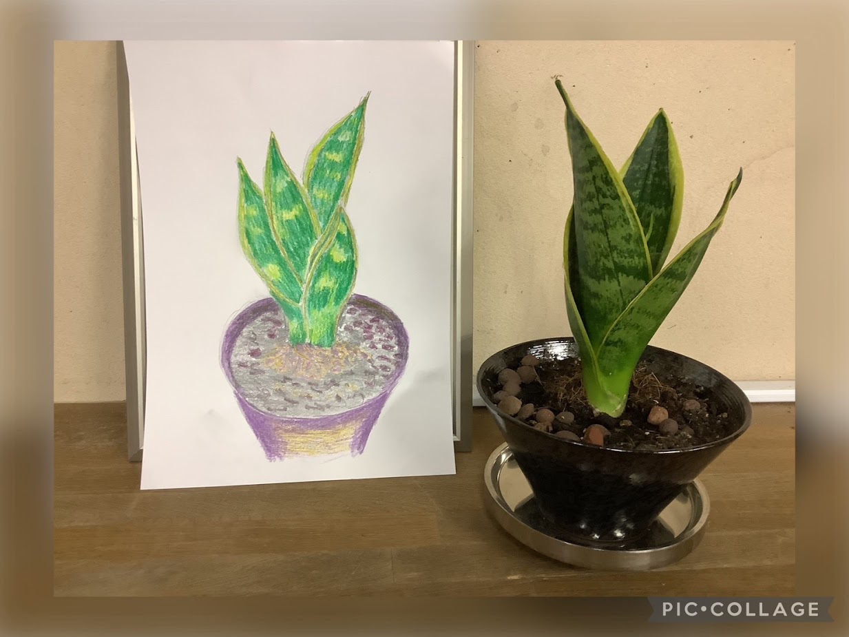 描き納め（小名木川）