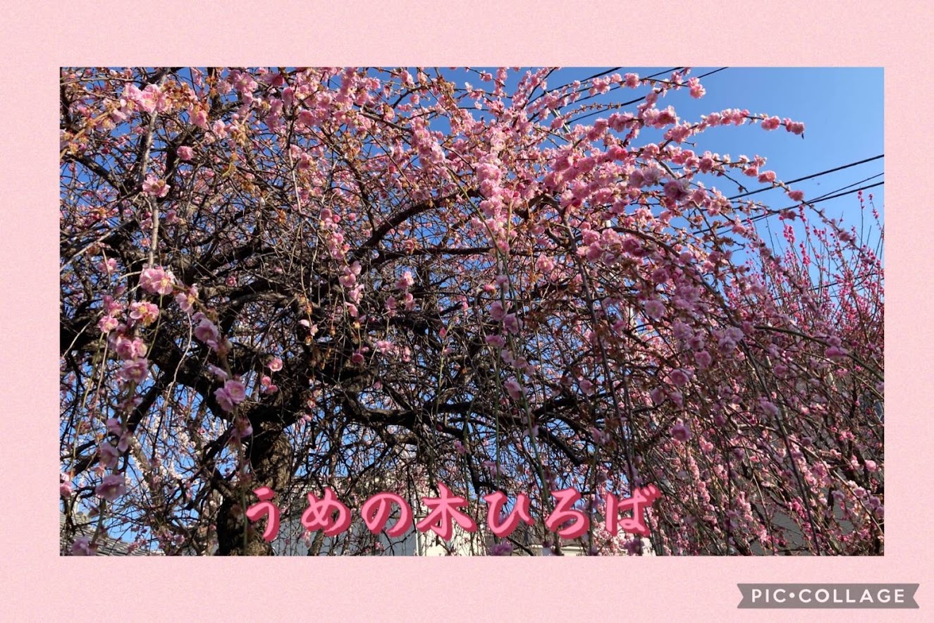 春の訪れ《瑞江》