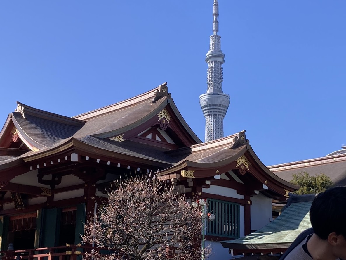 🌸梅の香りに包まれて 亀戸天神梅まつり🌸　大島