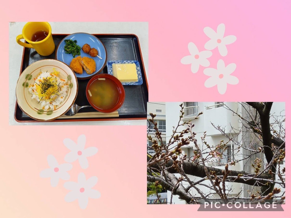 開花宣言（東陽町）